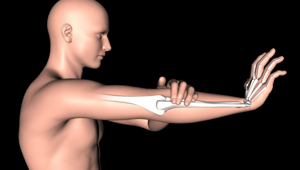 Anatomia Człowieka w Praktyce Masażysty - Kompleksowe Spojrzenie